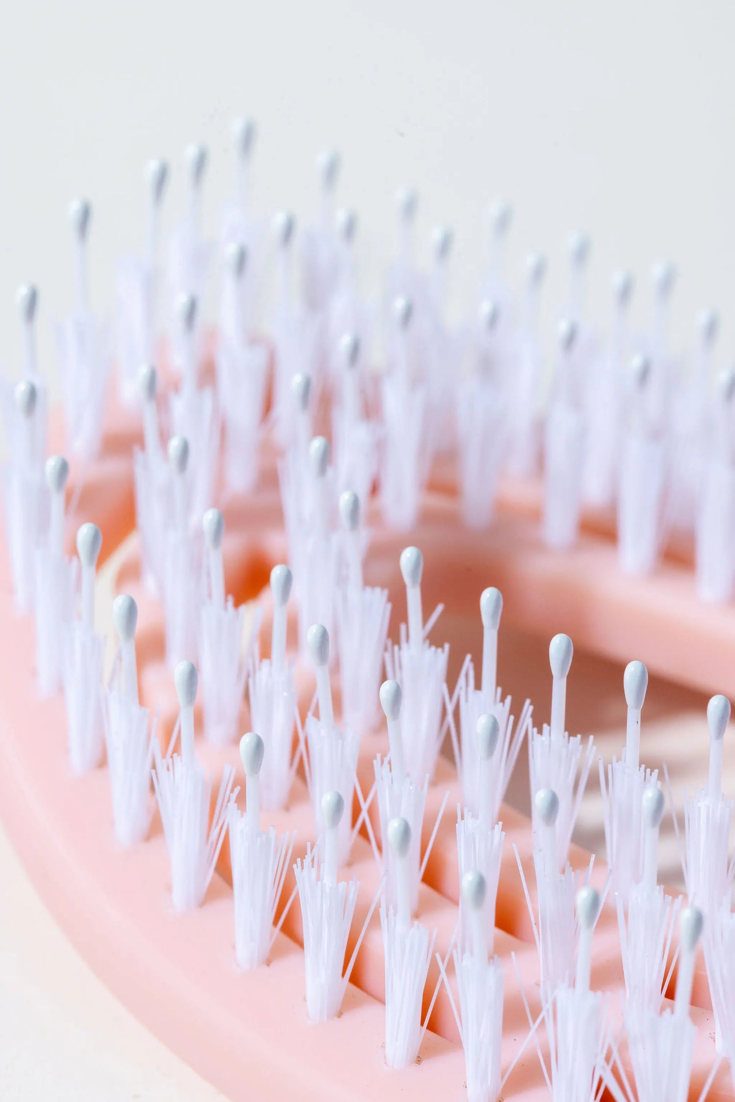 THE HAIRBRUSH OF DREAMS